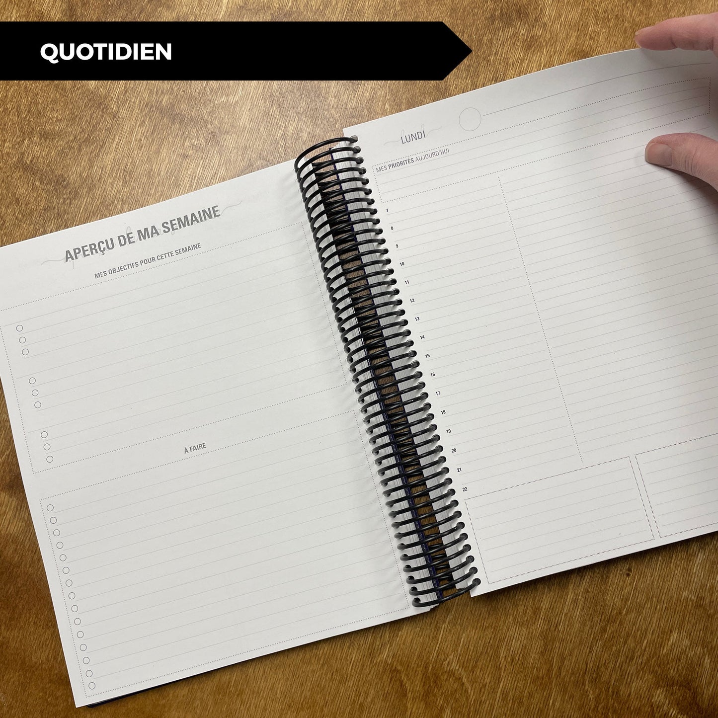 RÉCUP | QUOTIDIEN - Papeterie d'Or et d'Étoiles